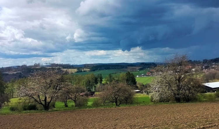 Rozkvetlá příroda na Jihlavsku
