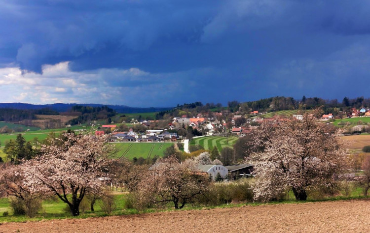 Rozkvetlá příroda na Jihlavsku