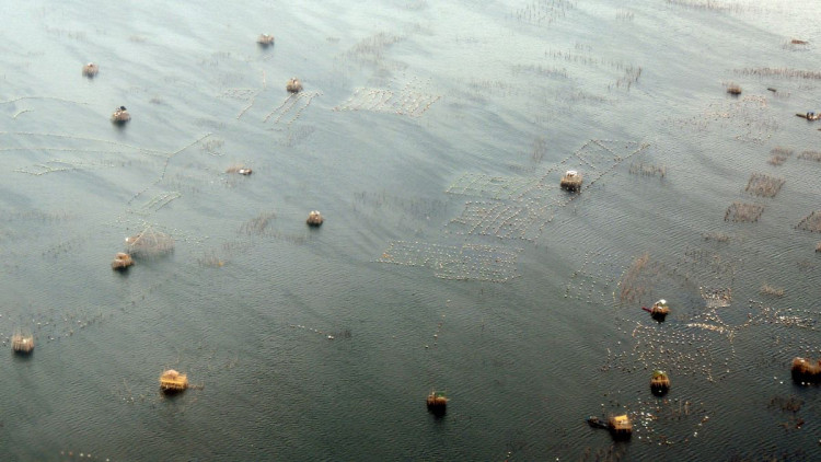 Cestování v podání Luďka Ruxe