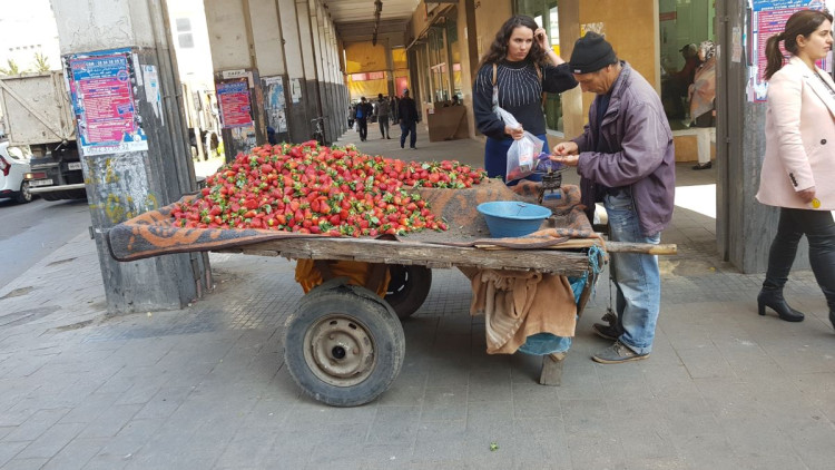 Cestování v podání Luďka Ruxe