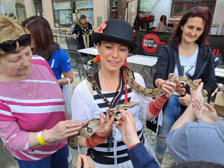 Valdštejnské slavnosti 2023