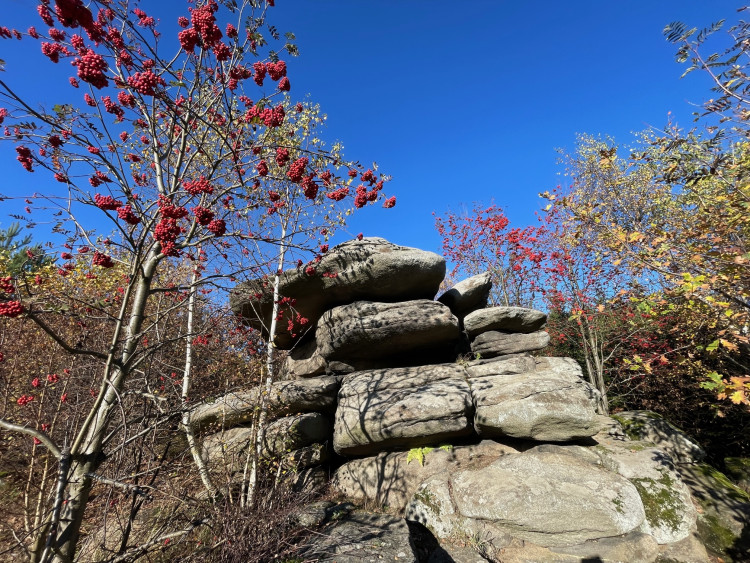 Velký čertův náramek