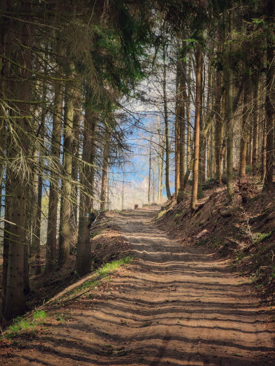 FOTOGALERIE: Bukovka stojí v malebné přírodě