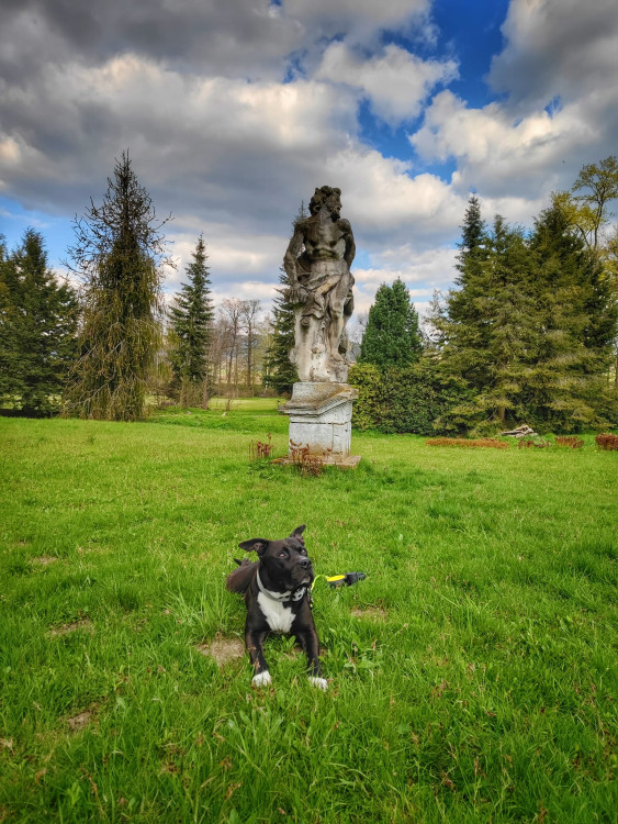 FOTOGALERIE: Bukovka stojí v malebné přírodě