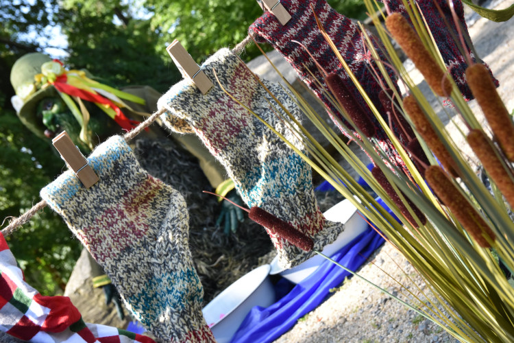 FOTOGALERIE: Pohádkový les v zoologické zahradě