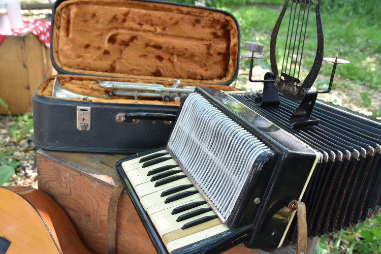 FOTOGALERIE: Pohádkový les v zoologické zahradě