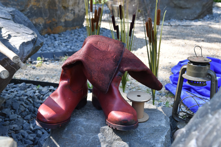 FOTOGALERIE: Pohádkový les v zoologické zahradě