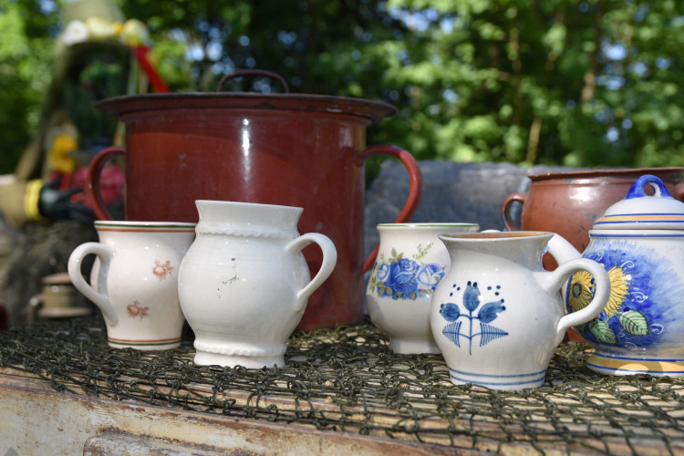 FOTOGALERIE: Pohádkový les v zoologické zahradě