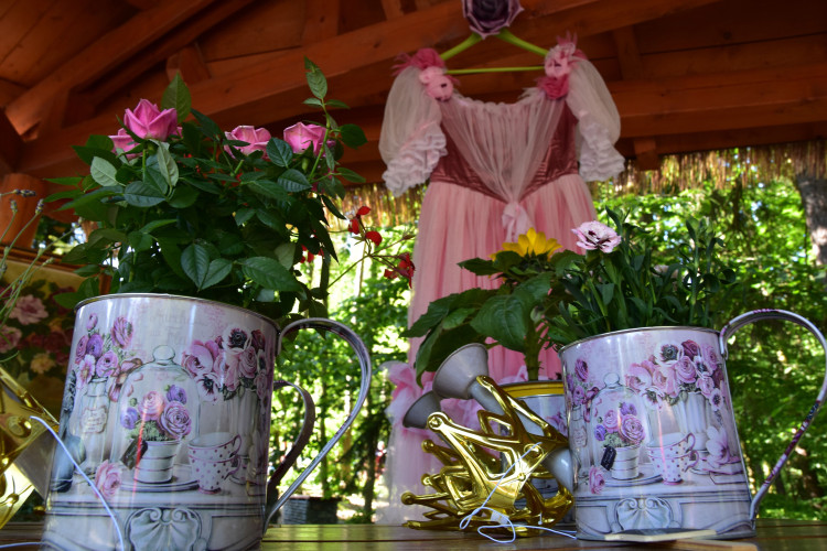 FOTOGALERIE: Pohádkový les v zoologické zahradě