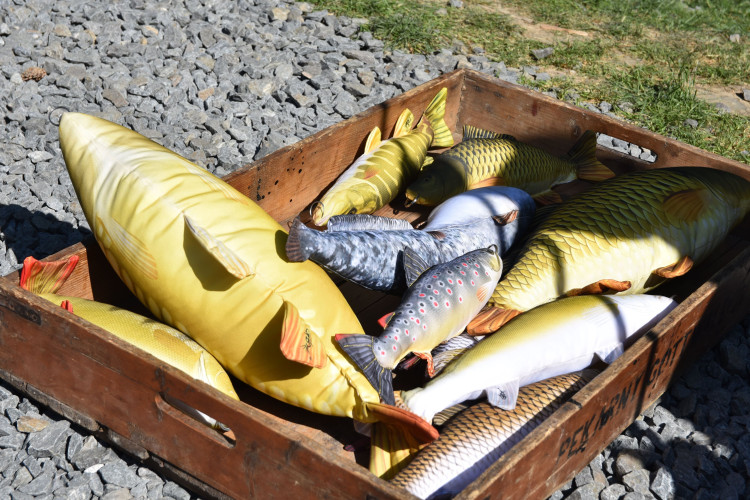 FOTOGALERIE: Pohádkový les v zoologické zahradě