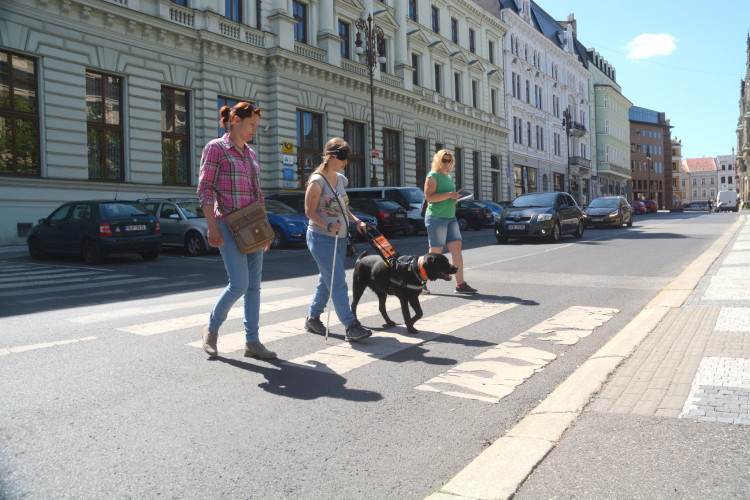 Mistrovství ČR vodicích psů v Liberci