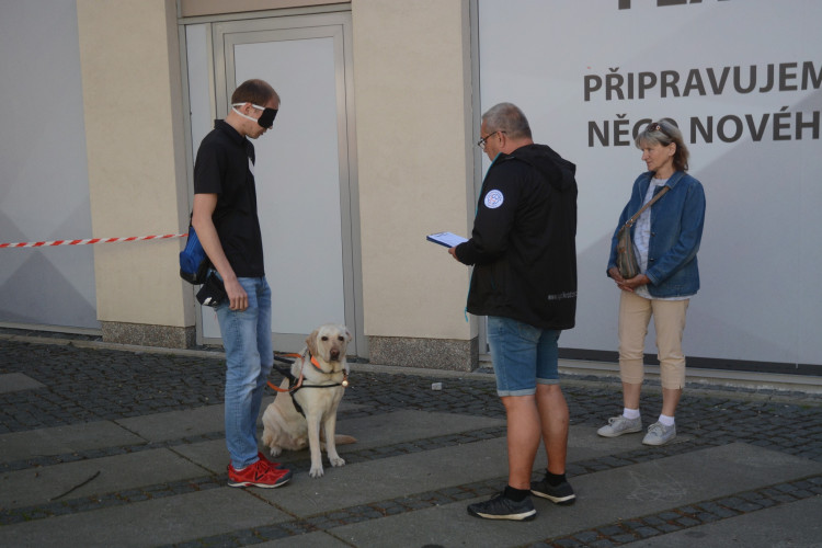 Mistrovství ČR vodicích psů v Liberci