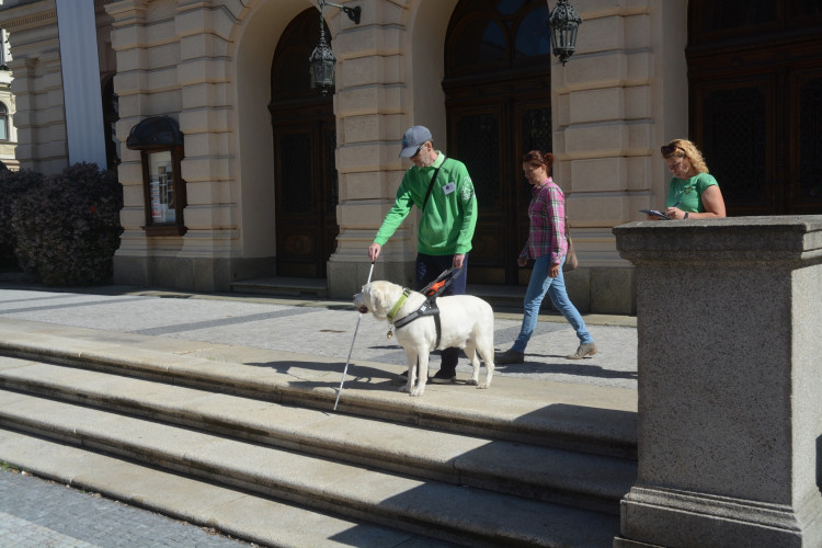 Mistrovství ČR vodicích psů v Liberci