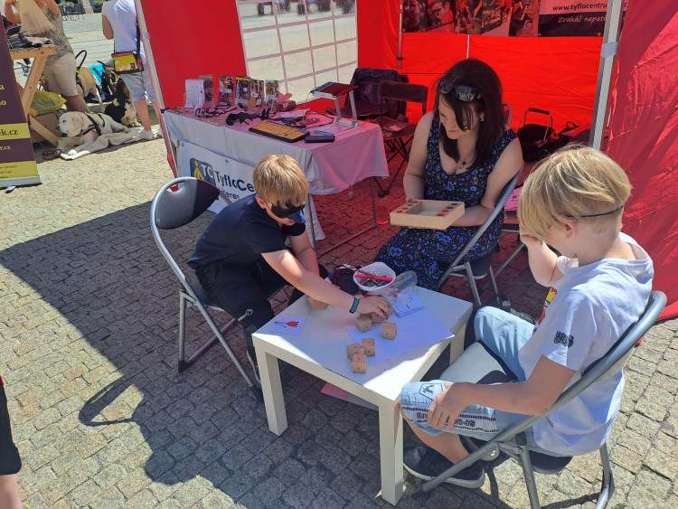 Mistrovství ČR vodicích psů v Liberci