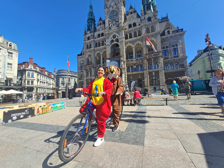 Mistrovství ČR vodicích psů v Liberci