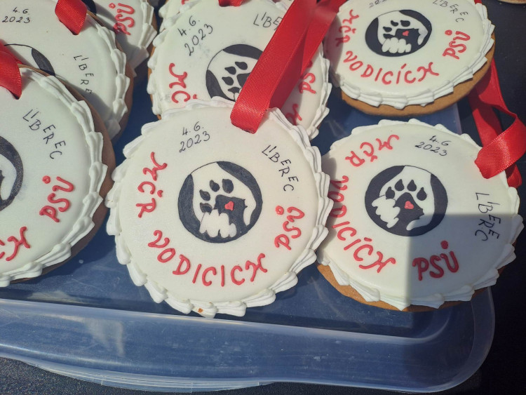 Mistrovství ČR vodicích psů v Liberci