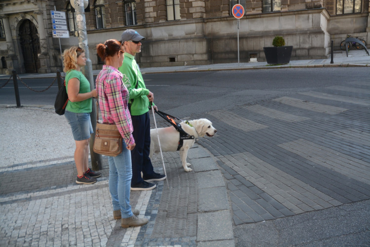 Mistrovství ČR vodicích psů v Liberci