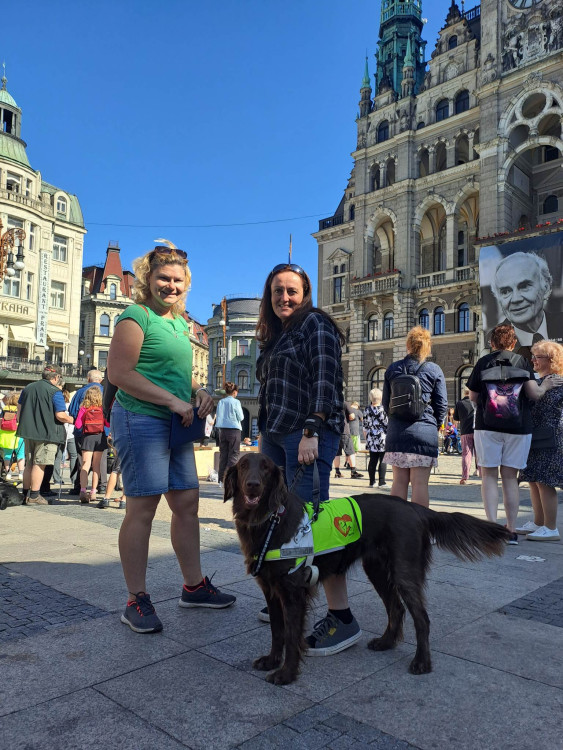 Mistrovství ČR vodicích psů v Liberci