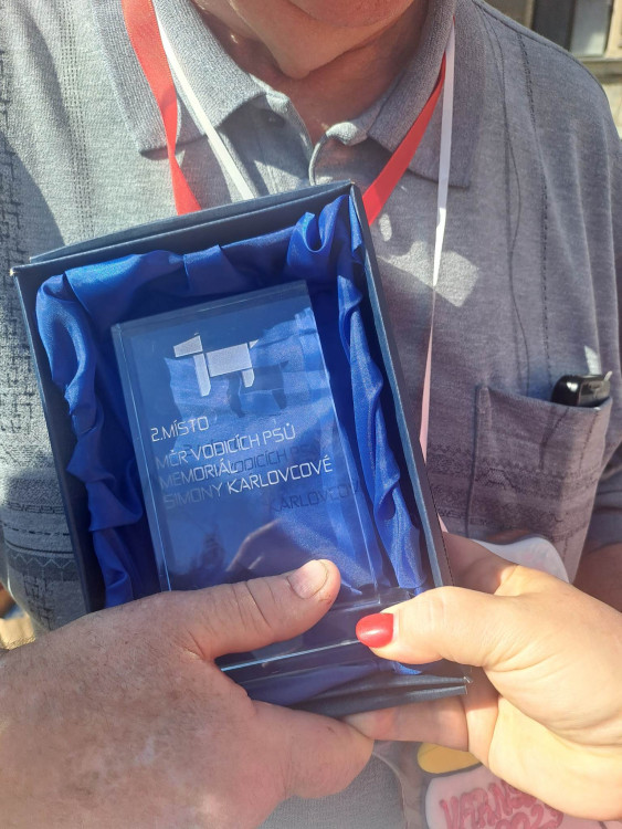 Mistrovství ČR vodicích psů v Liberci