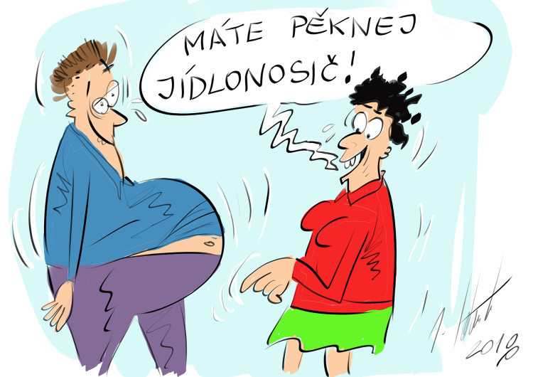 ORAŽENÉ OBRÁZKY: Červnová dávka vtipů od kreslíře Jana Tatarky