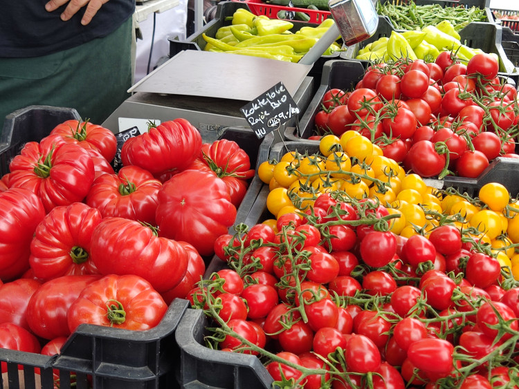 Festival Ambasád v Dejvicích přinesl ochutnávky z celého světa i kulturní program