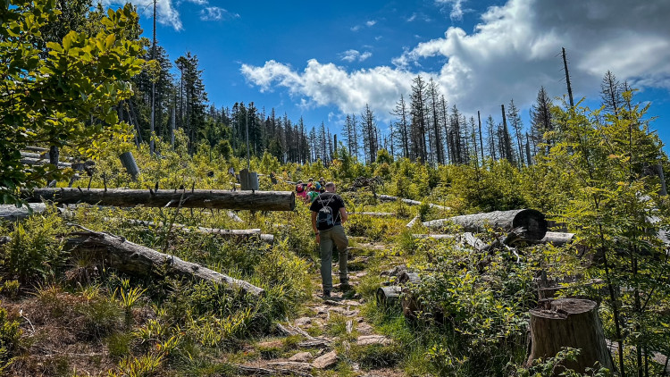 Cesta na vrchol Falkensteinu
