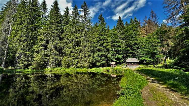 Plavební nádrž pod pralesem