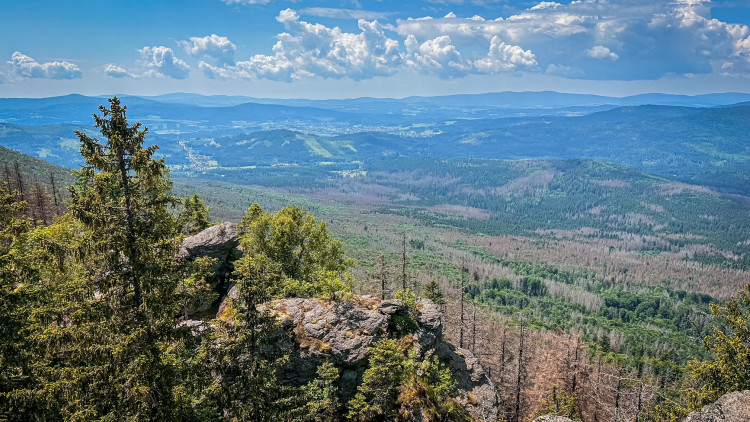 Vrchol Malého Falkensteinu