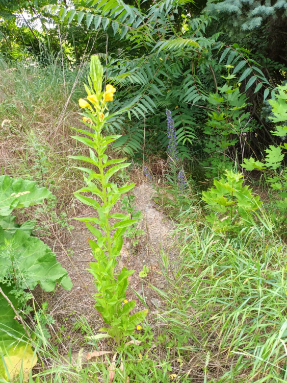 FOTOGALERIE: Jezdecká kasárna v Prostějově