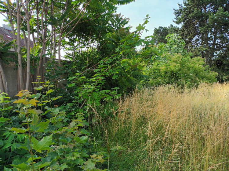 FOTOGALERIE: Jezdecká kasárna v Prostějově