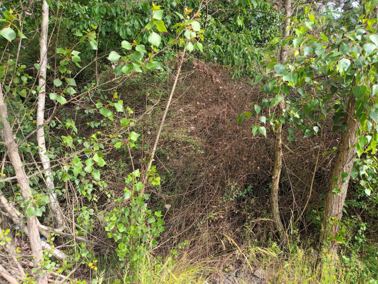 FOTOGALERIE: Jezdecká kasárna v Prostějově