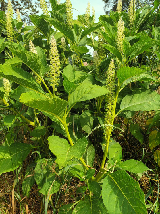 FOTOGALERIE: Jezdecká kasárna v Prostějově