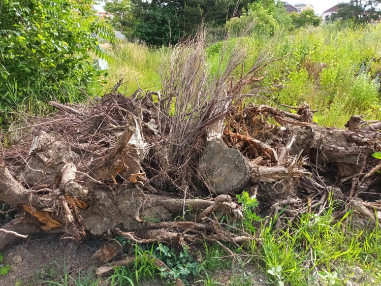 FOTOGALERIE: Jezdecká kasárna v Prostějově