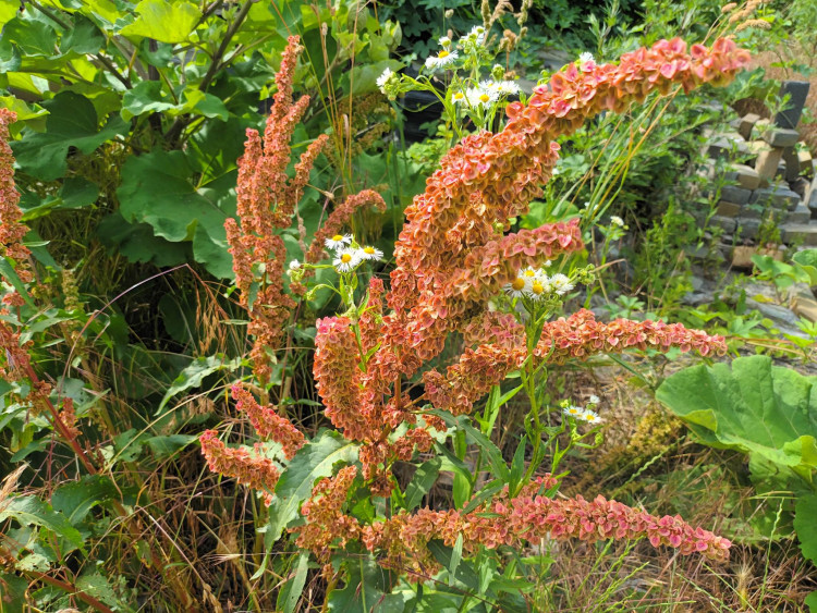FOTOGALERIE: Jezdecká kasárna v Prostějově