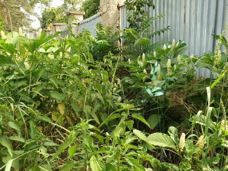 FOTOGALERIE: Jezdecká kasárna v Prostějově