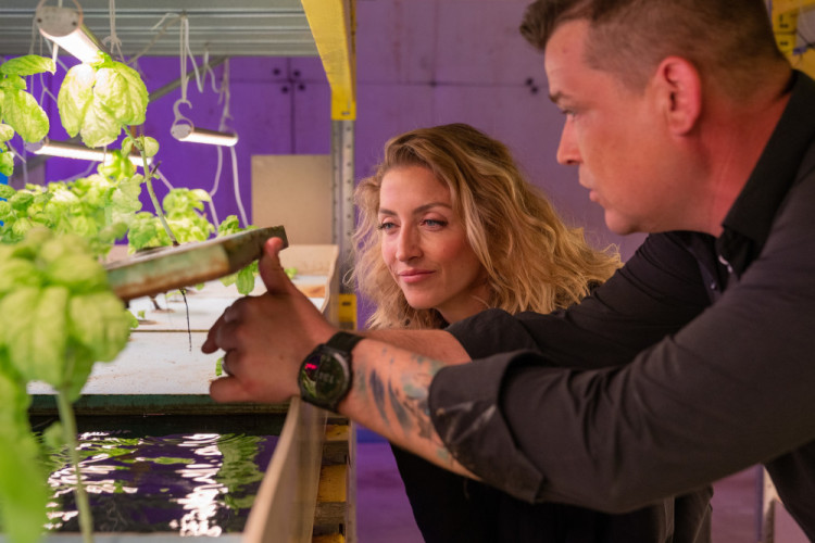 Aquaponická farma v Lážovicích pěstuje k přírodě šetrným způsobem výtečnou zeleninu a nabízí také rybí maso. Využívá totiž moderní způsob produkce rostlin, které si za pomoci speciální technologie berou živiny přímo z vody, v níž žijí ryby.