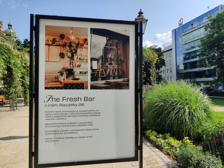 FOTOGALERIE: Výstava "Když pohledu neškodí"