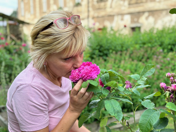 FOTOGALERIE: Růžová zahrada na zámku Nebílovy