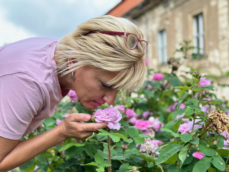 FOTOGALERIE: Růžová zahrada na zámku Nebílovy