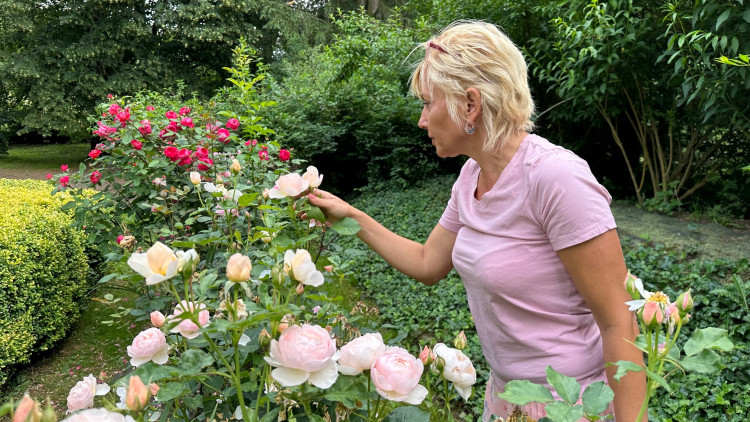 FOTOGALERIE: Růžová zahrada na zámku Nebílovy
