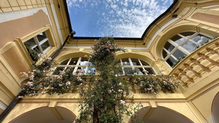 FOTOGALERIE: Růžová zahrada na zámku Nebílovy