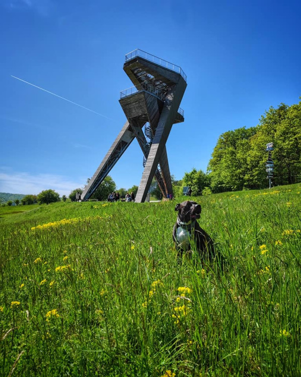 FOTOGALERIE: Okruh plný zajímavostí vhodný i pro terénní kočárek