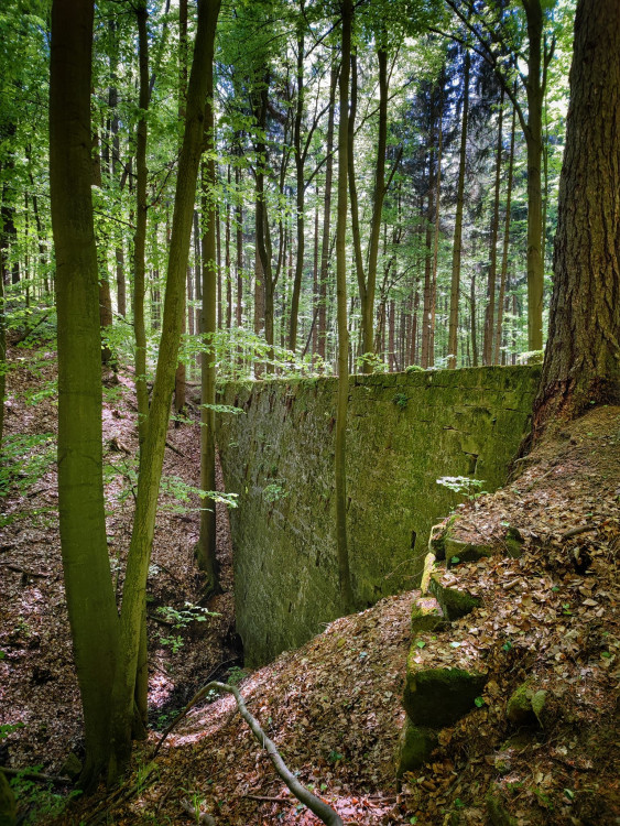 FOTOGALERIE: Okruh plný zajímavostí vhodný i pro terénní kočárek