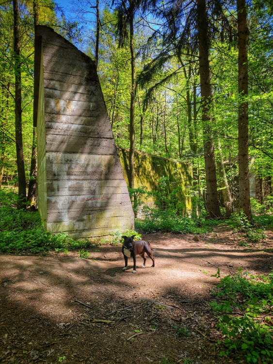 FOTOGALERIE: Okruh plný zajímavostí vhodný i pro terénní kočárek