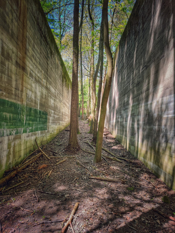 FOTOGALERIE: Okruh plný zajímavostí vhodný i pro terénní kočárek
