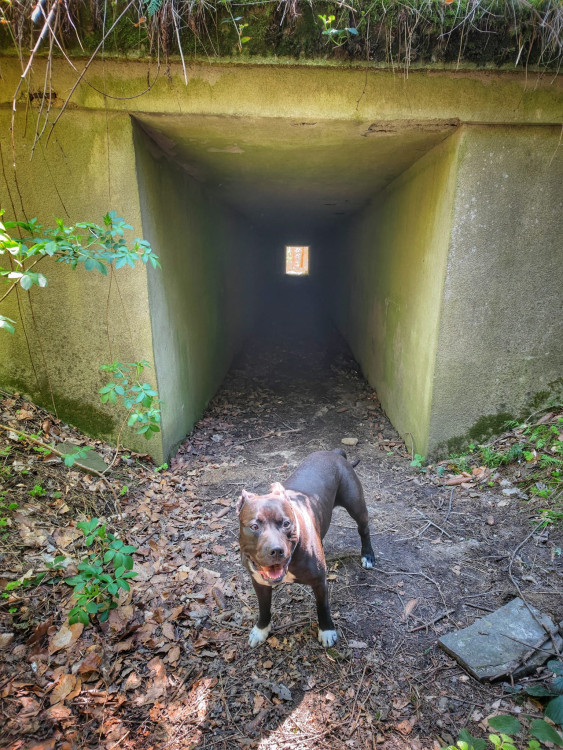 FOTOGALERIE: Okruh plný zajímavostí vhodný i pro terénní kočárek