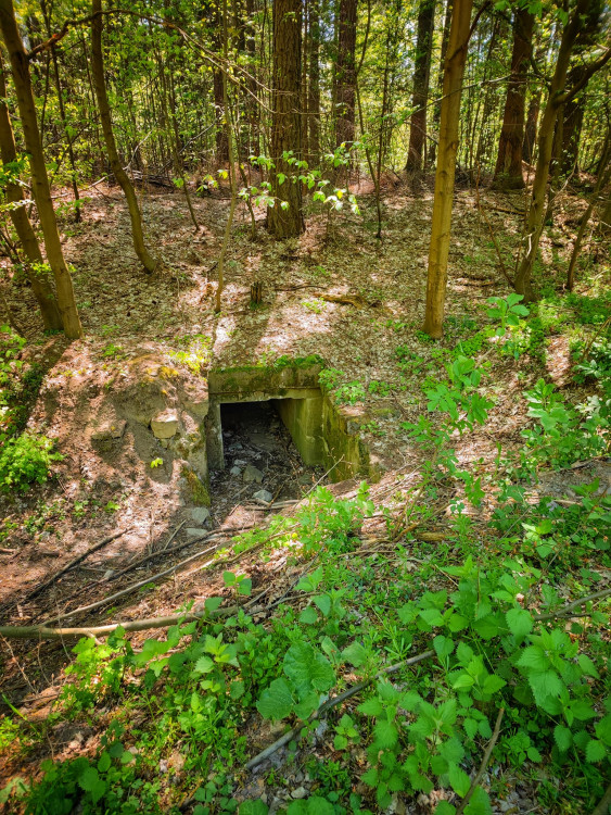 FOTOGALERIE: Okruh plný zajímavostí vhodný i pro terénní kočárek