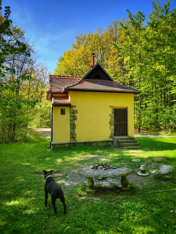 FOTOGALERIE: Okruh plný zajímavostí vhodný i pro terénní kočárek