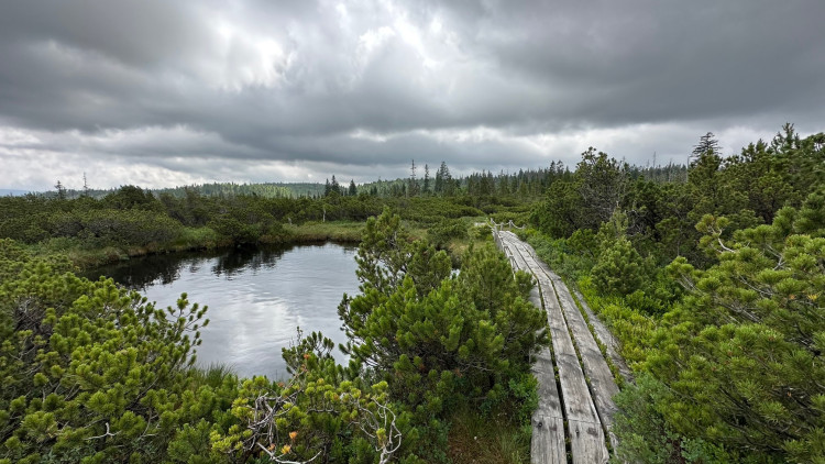 FOTOGALERIE: Bavorské pastviny