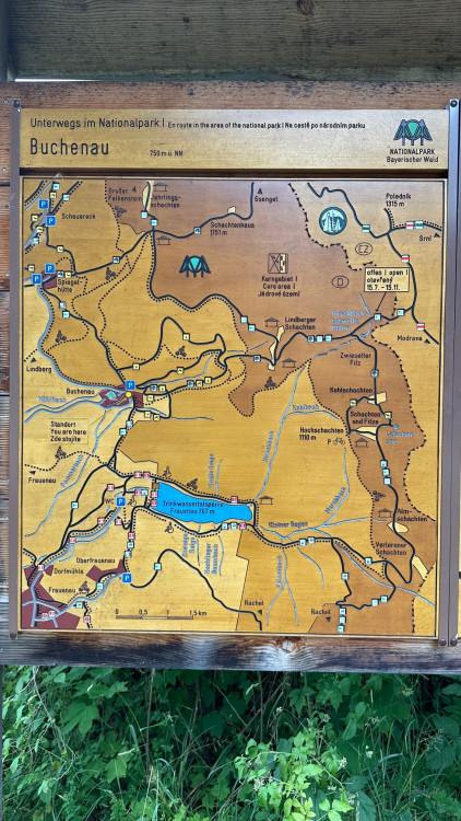 FOTOGALERIE: Bavorské pastviny